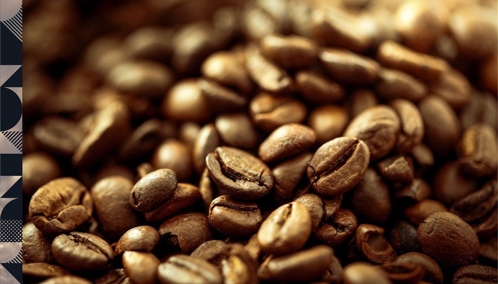 Gute Kaffeebohnen erkennen: Die 10 wichtigsten Qualitätsmerkmale
