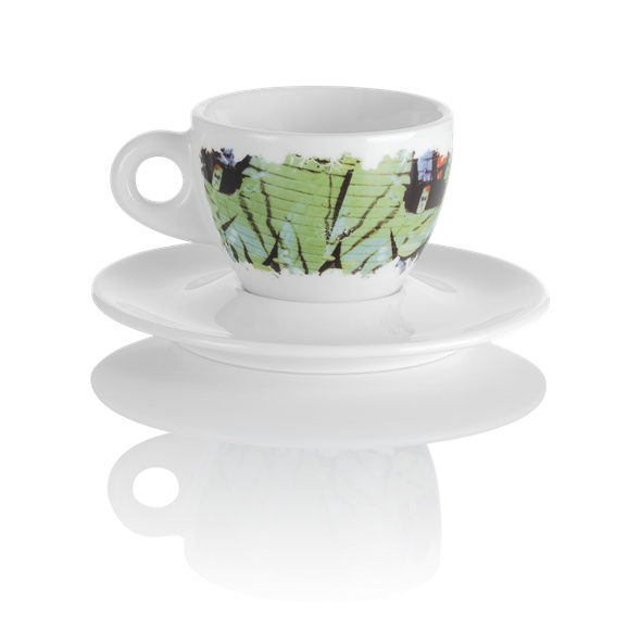 capp05-giada-hinten.png