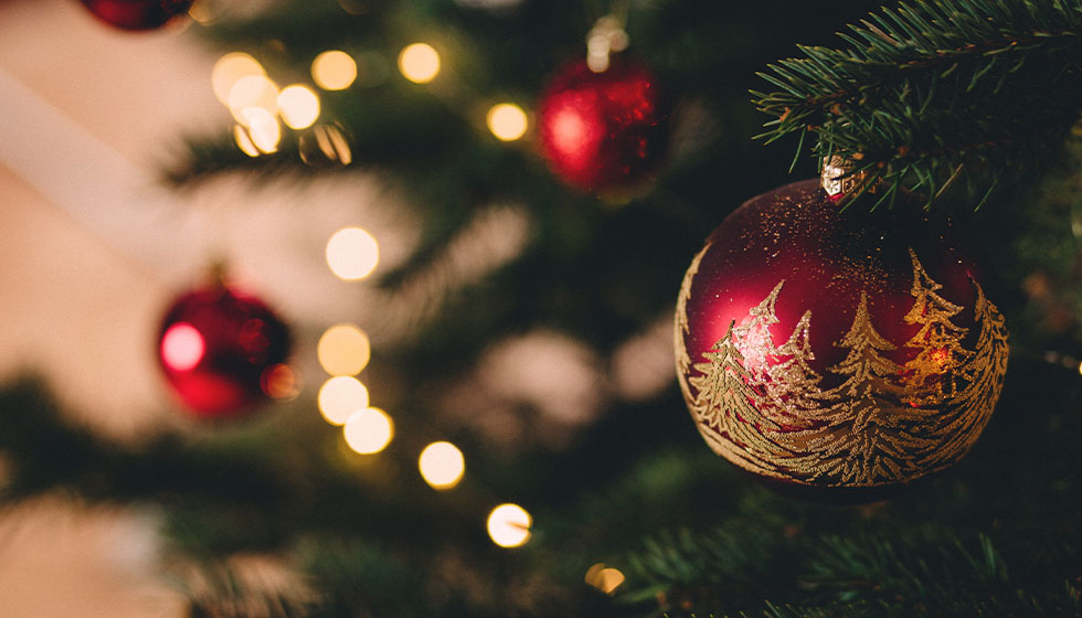 … under the Christmas tree